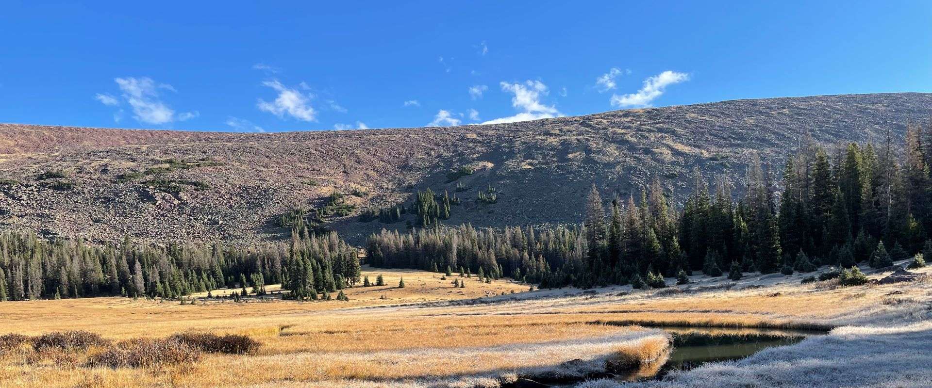 creek resized.jpg creek resized.jpg